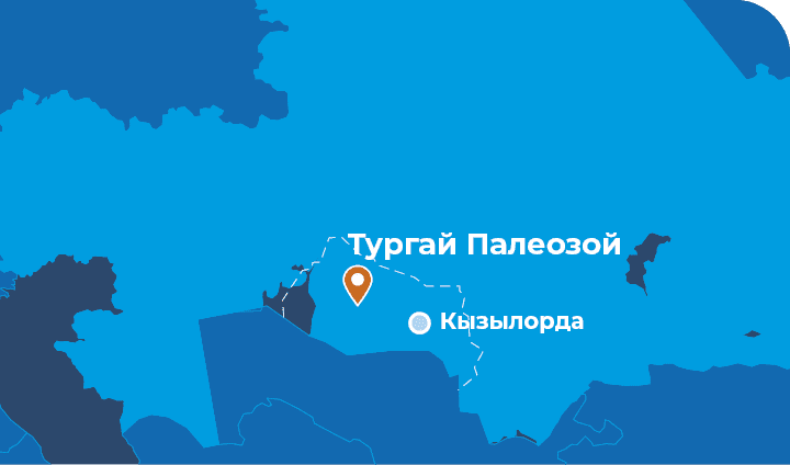 Тургай Палеозой