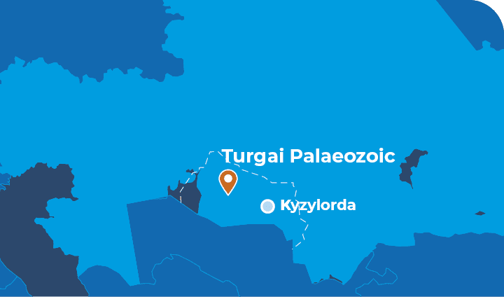 Turgai Palaeozoic